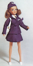 Azafata Jet / Stewardess Jet